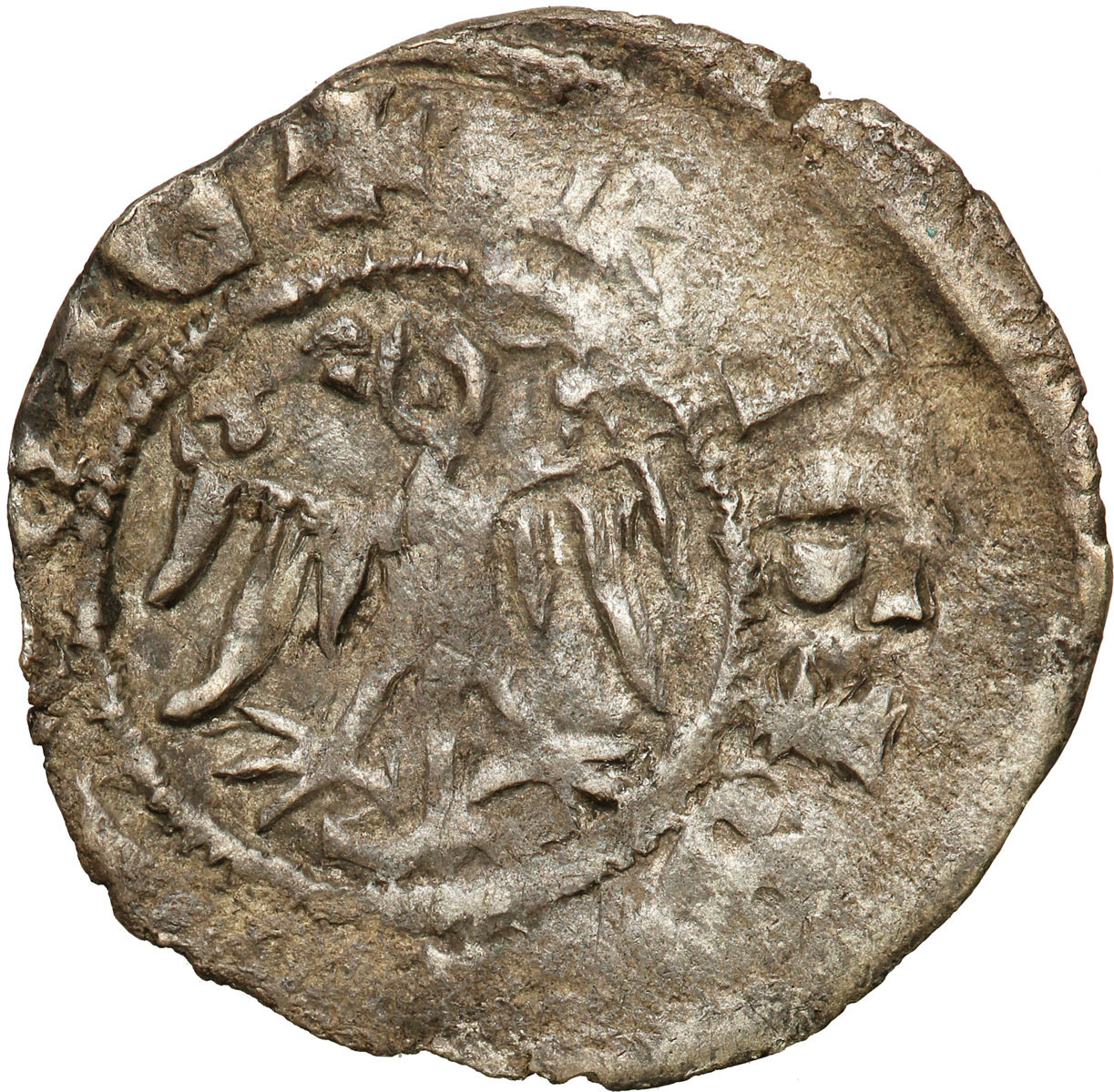 Kazimierz III Wielki (1333-1370). Kwartnik duży (półgrosz), Kraków - RZADKOŚĆ R4